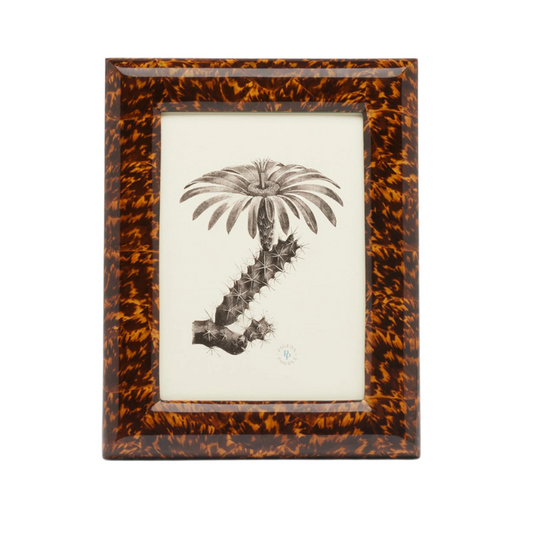 Frame Tortoise 5x7
