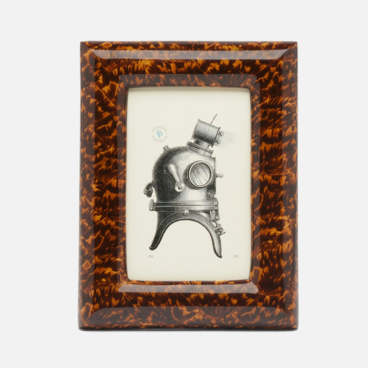 Frame Tortoise 4x6
